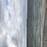 (Category: ) located in . Submitted by timoneo (Listing ID 1232528090, Image 1). Description: .
