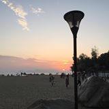 (Category: ) located in . Submitted by holocollects (Listing ID 1440301362, Image 1). Description: .