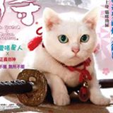 （分類：）位於 。 由 hkskywar 提交（商品編號 1380465459，圖片 1）。簡介： 。
