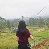 (Kategori: ) berada di . Dikirim oleh alvianigunawan (ID iklan 1376568209, Gambar 1). Deskripsi: .