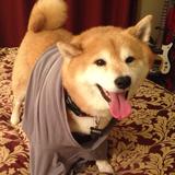 (Category: ) located in . Submitted by pokopop (Listing ID 1364670542, Image 1). Description: .