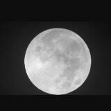 (Category: ) located in . Submitted by whitemoon (Listing ID 1371825553, Image 1). Description: .