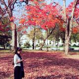 (Category: ) located in . Submitted by michelle_leepy (Listing ID 1127780660, Image 1). Description: .