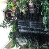 (Category: ) located in . Submitted by beltham (Listing ID 1341427837, Image 1). Description: .