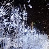 （分類：）位於 。 由 MaryMok 提交（商品編號 1375611517，圖片 1）。簡介： 。