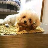 （分類：）位於 。 由 kkcoy 提交（商品編號 1380325585，圖片 1）。簡介： 。