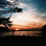 (Category: ) located in . Submitted by icerachang (Listing ID 1383713393, Image 1). Description: .