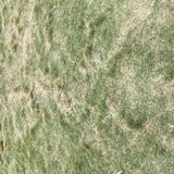 (分類:)位於 。 由 cy0630 提交(商品編號 1453332223,圖片 1)。簡介: 。