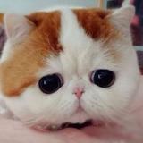 (Category: ) located in . Submitted by thism_ (Listing ID 1364183238, Image 1). Description: .