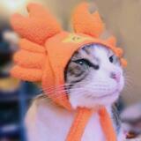 (Category: ) located in . Submitted by jocreme (Listing ID 1382885970, Image 1). Description: .