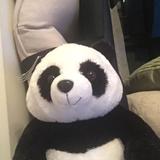（分類：）位於 。 由 jolam2016 提交（商品編號 1328536684，圖片 1）。簡介： 。