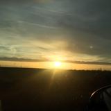 (Category: ) located in . Submitted by beauty.amberglade (Listing ID 1314039500, Image 1). Description: .