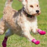 (Category: ) located in . Submitted by sockoholic (Listing ID 1064768195, Image 1). Description: .