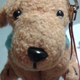 (Category: ) located in . Submitted by barney.the.dinosaur (Listing ID 1380431489, Image 1). Description: .