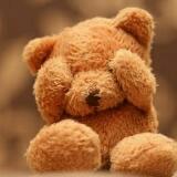 (Category: ) located in . Submitted by teddy_bear (Listing ID 1378153300, Image 1). Description: .