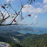 (Category: ) located in . Submitted by vanezppss (Listing ID 1302465234, Image 1). Description: .