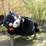 由 tangdog (刊登 ID 1385505863，圖片 1) 提交，位於 的 (類別：)，說明：。