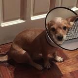 (Category: ) located in . Submitted by luigi_gamboa (Listing ID 1376132442, Image 1). Description: .