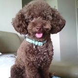 (Category: ) located in . Submitted by buddyjan (Listing ID 185304698, Image 1). Description: .