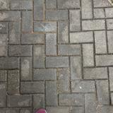 （分類：）位於 。 由 kne_wit 提交（商品編號 1381861829，圖片 1）。簡介： 。