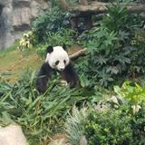 （分類：）位於 。 由 keihoho 提交（商品編號 1371550202，圖片 1）。簡介： 。
