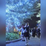 (分類:)位於 。 由 chiulaic 提交(商品編號 1466681764,圖片 1)。簡介: 。