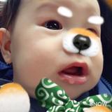 （分類：）位於 。 由 samuelbeebee 提交（商品編號 1381211521，圖片 1）。簡介： 。