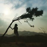 (分類:)位於 。 由 sumsumsum32 提交(商品編號 1458168293,圖片 1)。簡介: 。