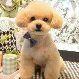 （分類：）位於 。 由 wonglulu 提交（商品編號 1308619648，圖片 1）。簡介： 。