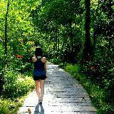 (Category: ) located in . Submitted by ychin (Listing ID 1207111122, Image 1). Description: .