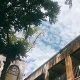 由 dhchsb (刊登 ID 1381679637，圖片 1) 提交，位於 的 (類別：)，說明：。