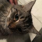 (Category: ) located in . Submitted by 36degree (Listing ID 1304805064, Image 1). Description: .