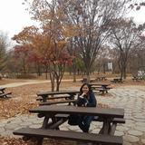 (Category: ) located in . Submitted by paz_m (Listing ID 1334855144, Image 1). Description: .