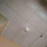 (Category: ) located in . Submitted by asmanira (Listing ID 1453778769, Image 1). Description: .