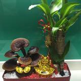 (Category: ) located in . Submitted by cykho (Listing ID 1383076487, Image 1). Description: .