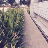 (Category: ) located in . Submitted by boeysan (Listing ID 1383137188, Image 1). Description: .