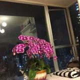 （分類：）位於 。 由 fishzu22 提交（商品編號 1317789015，圖片 1）。簡介： 。