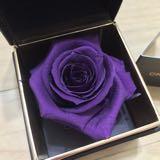 由 flowerpurple (刊登 ID 1359598293，圖片 1) 提交，位於 的 (類別：)，說明：。