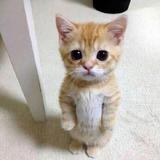 (Category: ) located in . Submitted by tupperware22 (Listing ID 1383751719, Image 1). Description: .