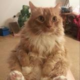 (Category: ) located in . Submitted by mickledoodle (Listing ID 1295267929, Image 1). Description: .