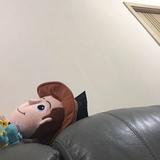（分類：）位於 。 由 wini0011 提交（商品編號 1383972152，圖片 1）。簡介： 。