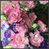 (Category: ) located in . Submitted by lpmama (Listing ID 1364558502, Image 1). Description: .