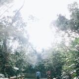 （分類：）位於 。 由 allletthemgo 提交（商品編號 1240523657，圖片 1）。簡介： 。