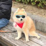 (Category: ) located in . Submitted by mugimugiong (Listing ID 1377570757, Image 1). Description: .