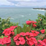 (Category: ) located in . Submitted by angba0 (Listing ID 1277715368, Image 1). Description: .