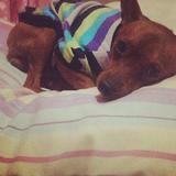 (Category: ) located in . Submitted by bianchee (Listing ID 1368793886, Image 1). Description: .