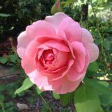 (Category: ) located in . Submitted by aprzz (Listing ID 148540448, Image 1). Description: .