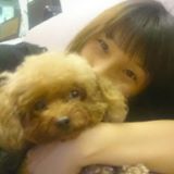 （分類：）位於 。 由 cookiescook 提交（商品編號 1274798564，圖片 1）。簡介： 。