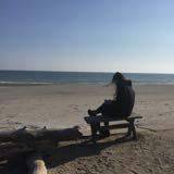 (Category: ) located in . Submitted by panze (Listing ID 1467036163, Image 1). Description: .