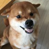 由 moz0055 (刊登 ID 1382448251，圖片 1) 提交，位於 的 (類別：)，說明：。